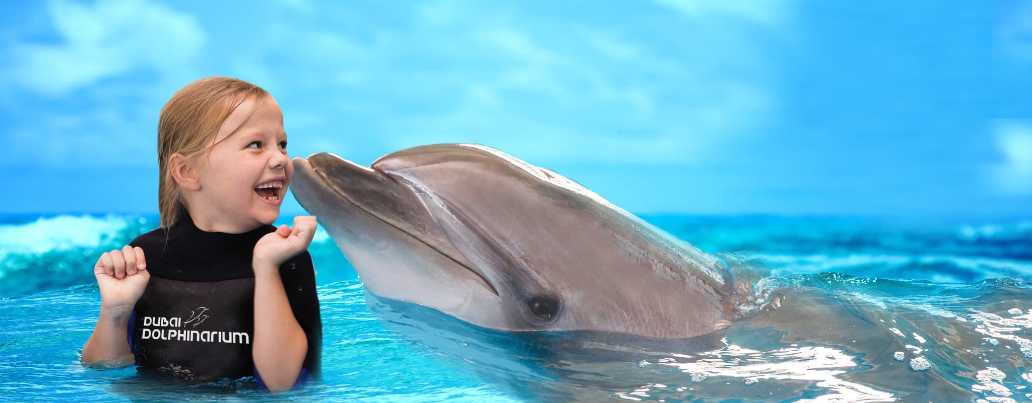 Dubai Dolphinarium Ticket - image 11