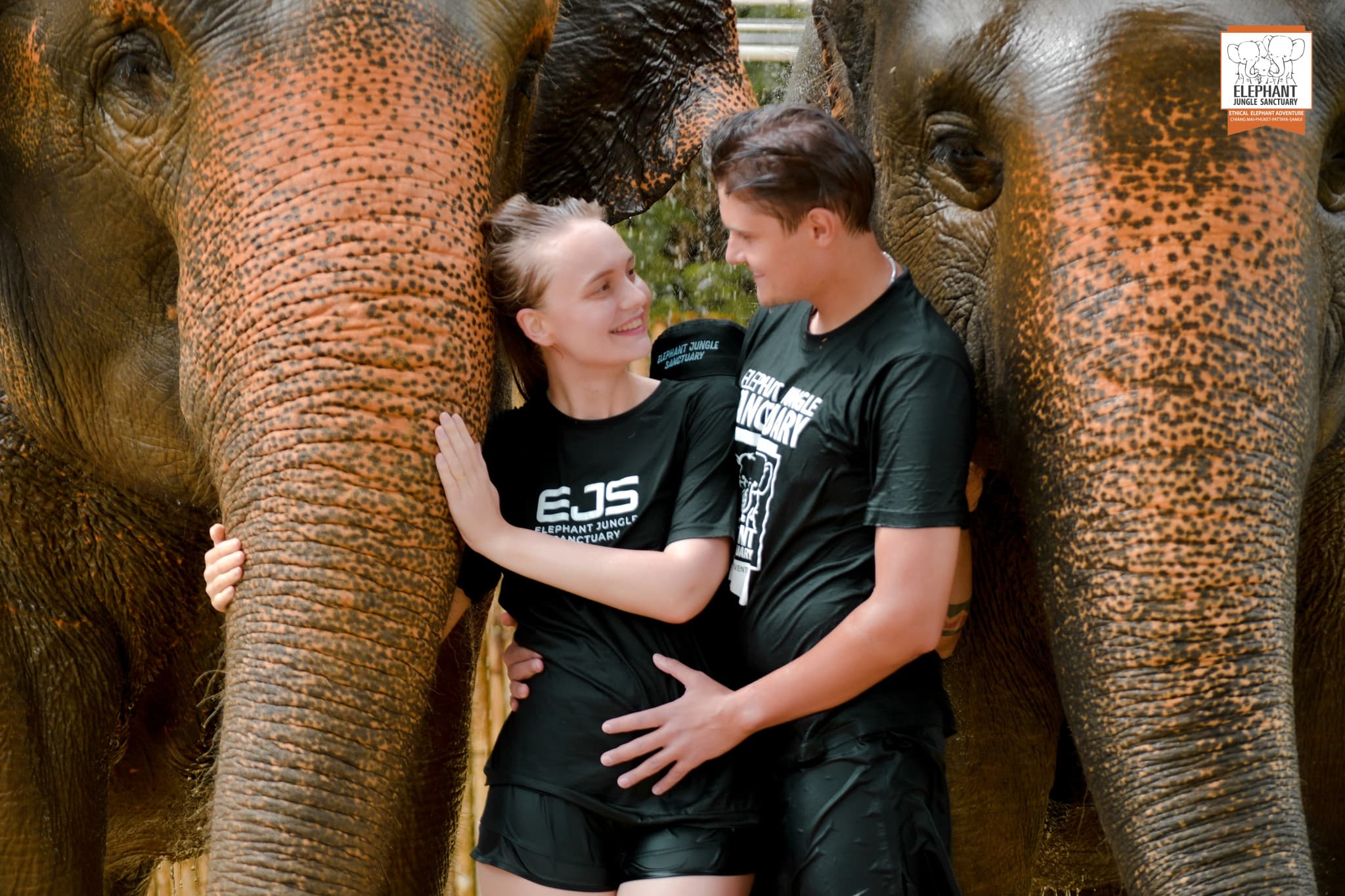 Elephant Jungle Sanctuary Phuket - image 21