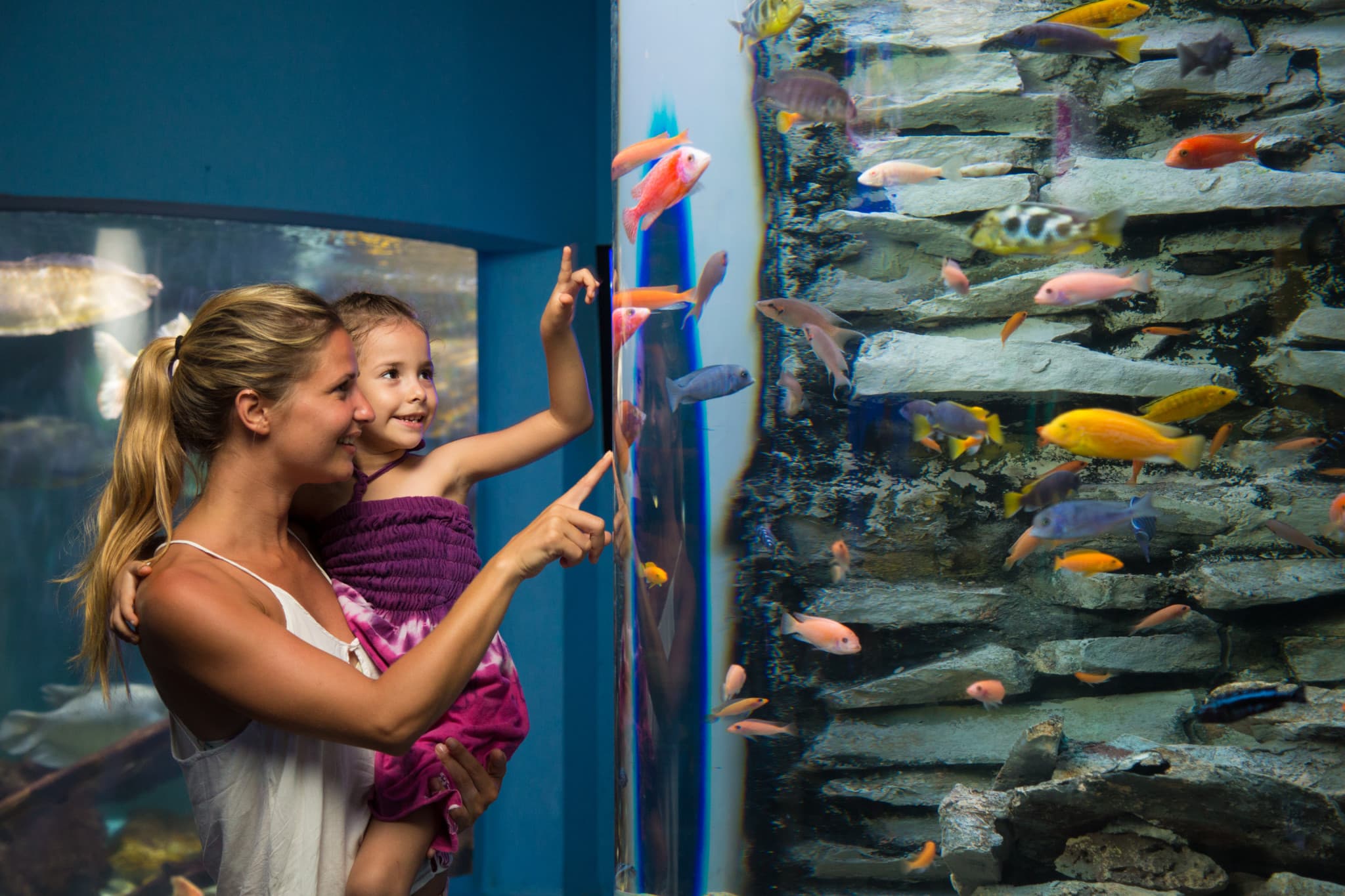 Go City Cancun All-Inclusive Pass Plus: Save up to 50% on Attractions - image 13