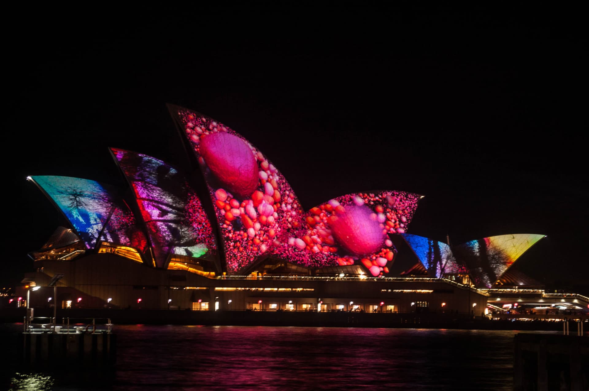 Vivid Festival of Light and Sound Cruise with Buffet Dinner aboard Sydney Princess Cruises - image 6
