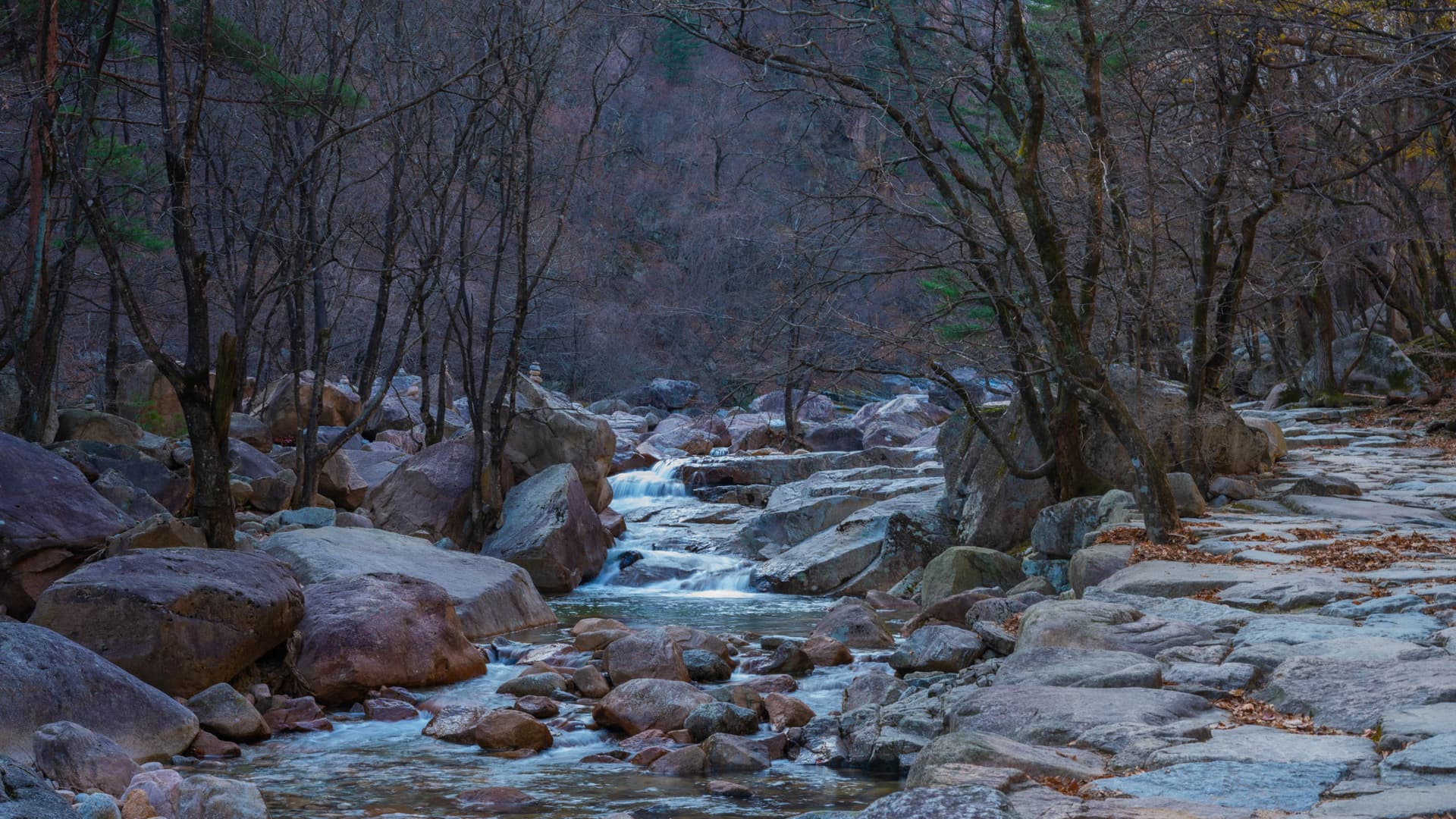 Mount Seorak and Naksansa Temple Tour from Seoul - 이미지 10