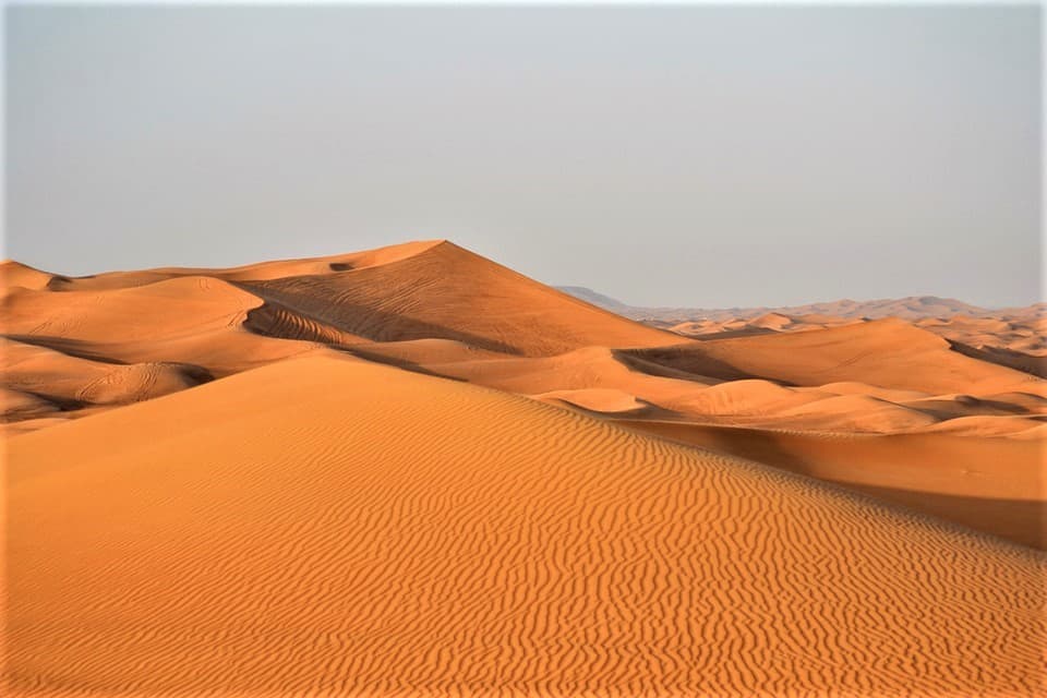 Morning Desert Safari Tour from Dubai - image 6