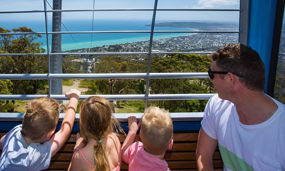 Arthur’s Seat Eagle Cable Car Ride Over the Mornington Peninsula - image 2
