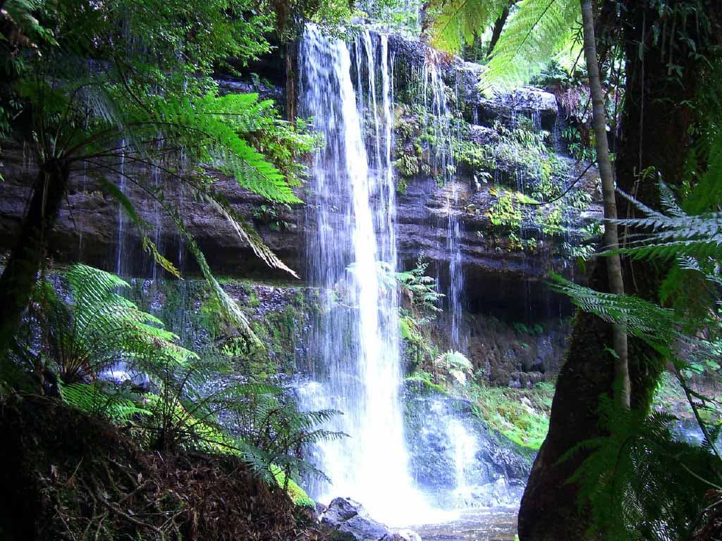 Russell Falls Tour from Hobart - image 11