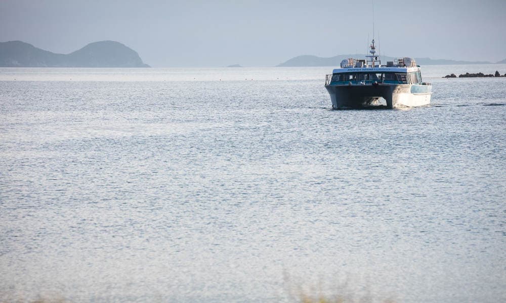 Stewart Island Ferry - Bluff to Stewart Island - image 6