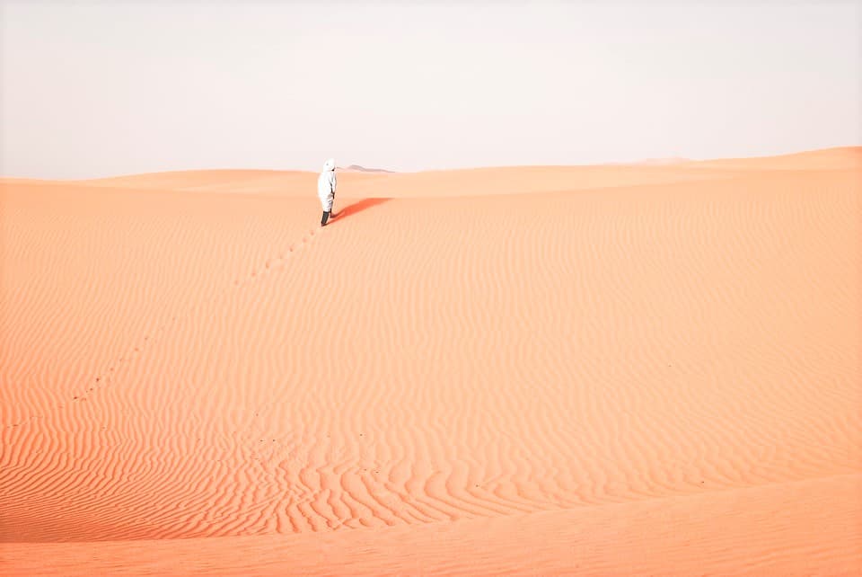 Morning Desert Safari Tour from Dubai - imagen 3