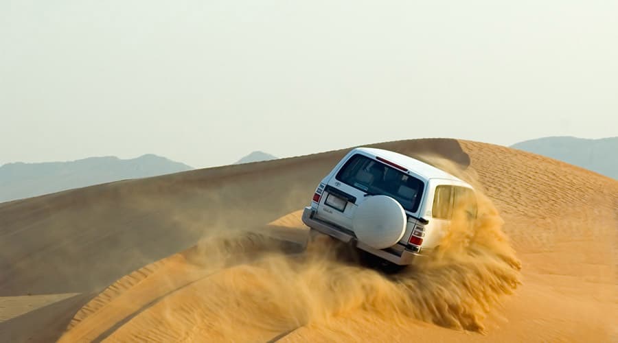 Morning Desert Safari Tour from Dubai - imagen 2