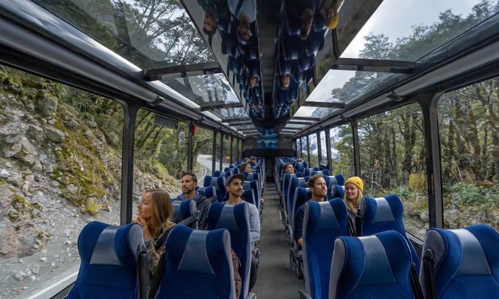 Milford Sound Coach and Cruise from Te Anau - image 3