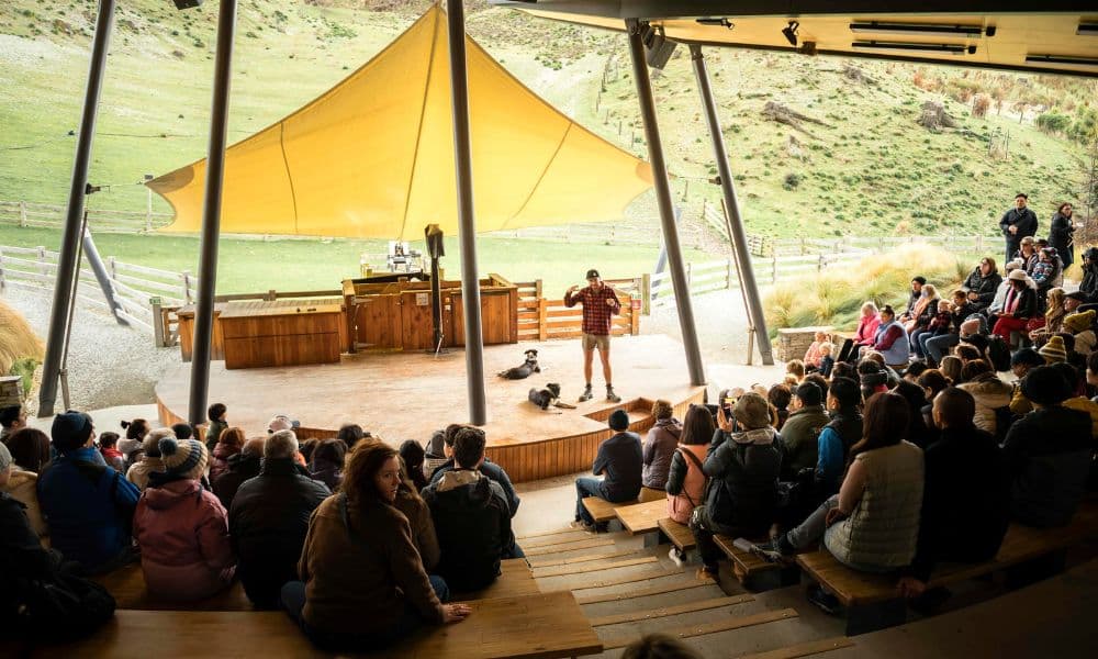 TSS Earnslaw Cruise and Gourmet BBQ Buffet at Walter Peak - image 6