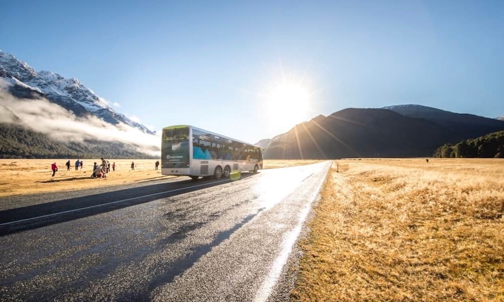 Milford Sound Coach and Cruise from Te Anau - image 4