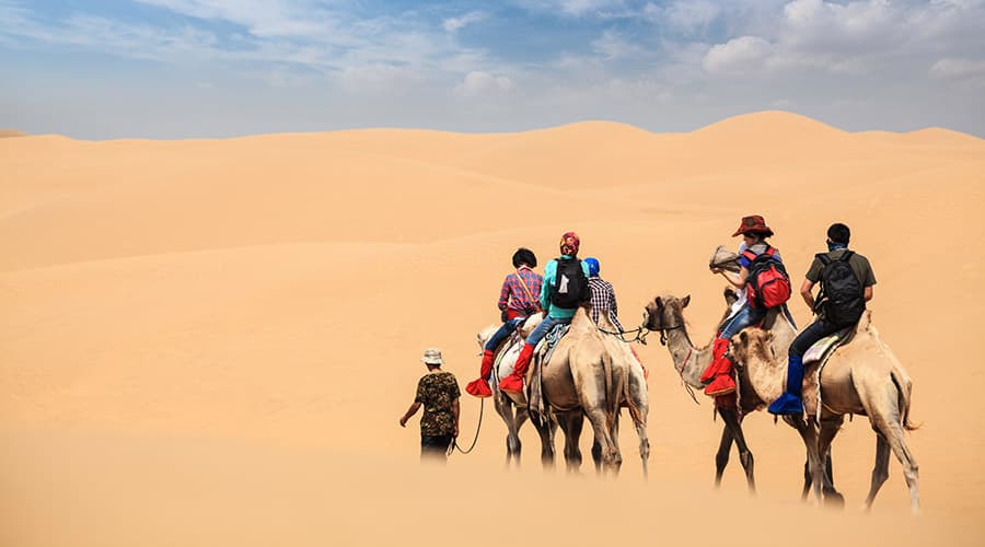 Morning Desert Safari Tour from Dubai - imagen principal