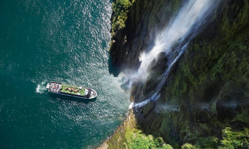 Milford Sound Coach and Cruise from Te Anau - image 2