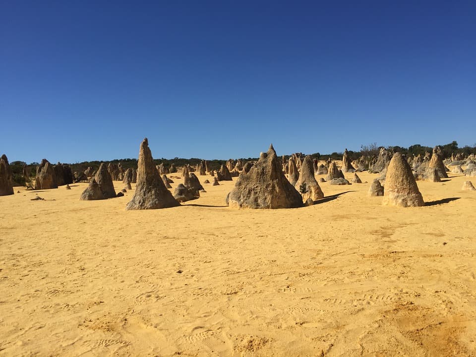 Pinnacles Desert Tour with 4WD Adventure from Perth - image 5