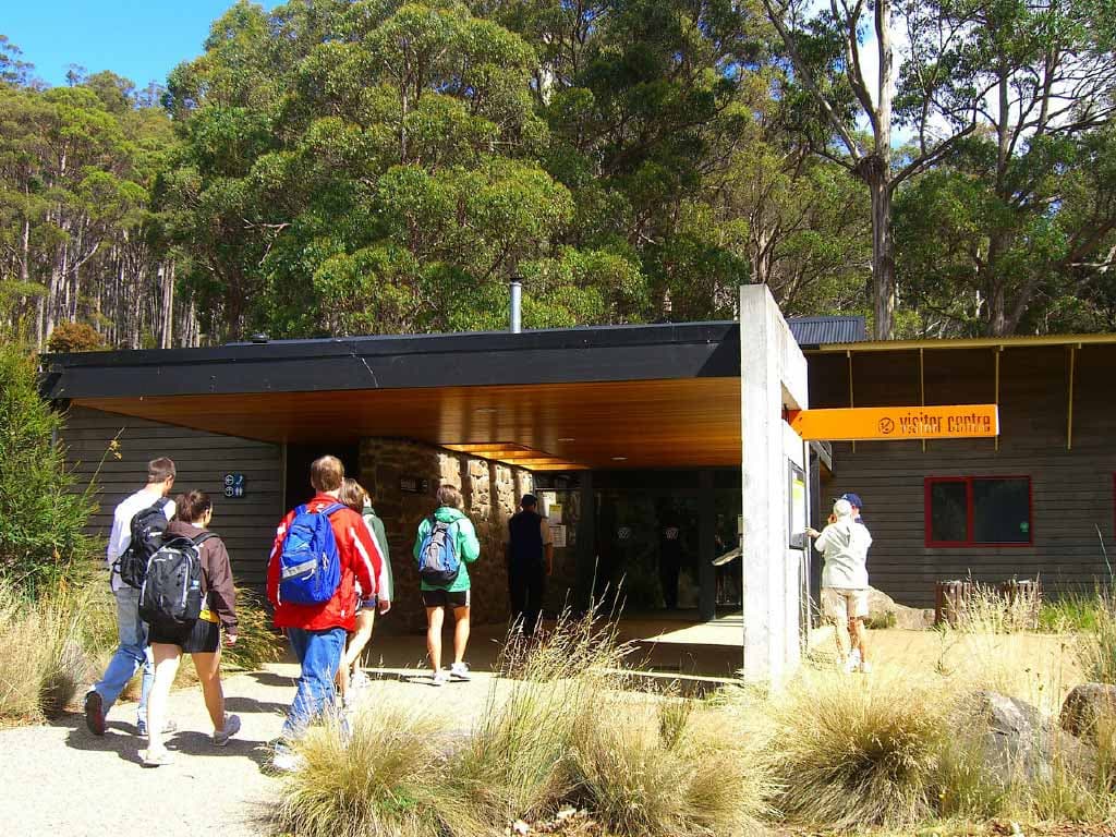 Russell Falls Tour from Hobart - image 12