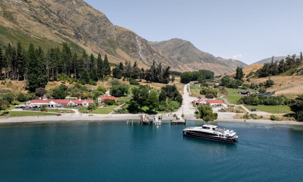 TSS Earnslaw Cruise and Walter Peak Farm Tour - image 4