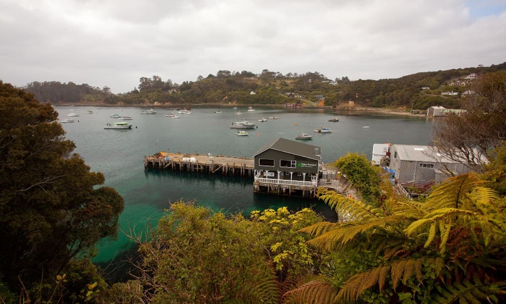 Stewart Island Ferry - Bluff to Stewart Island - image 4