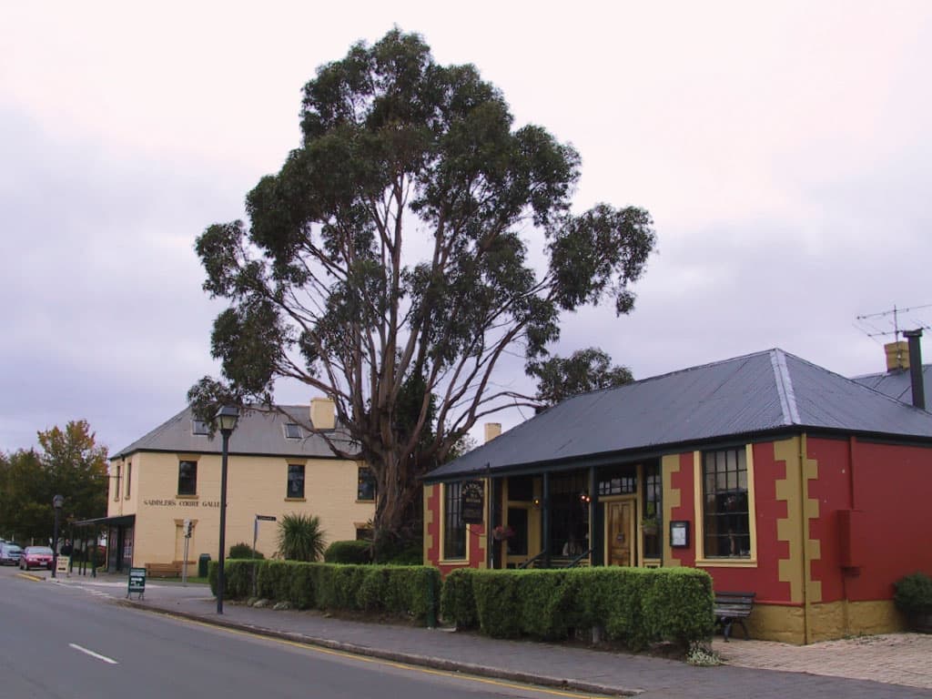 Mount Wellington and Hobart City Tour - imagen 8