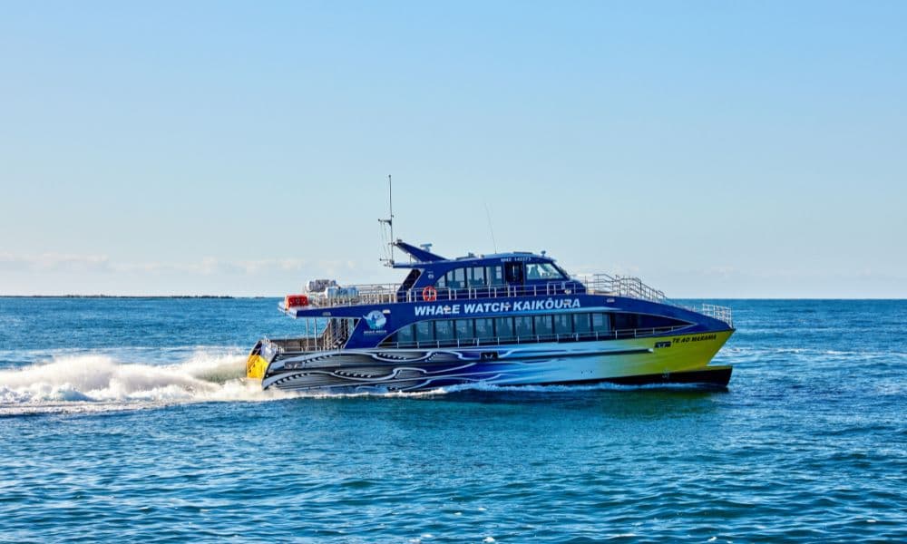 Whale Watching Cruise Kaikoura - main image